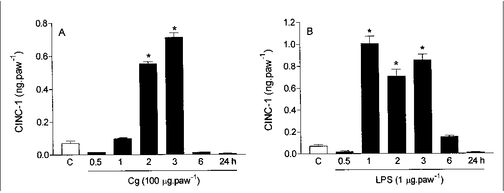 John Libbey Eurotext European Cytokine Network Cinc 1 Mediates The Sympathetic Component Of Inflammatory Mechanical Hypersensitivitiy In Rats