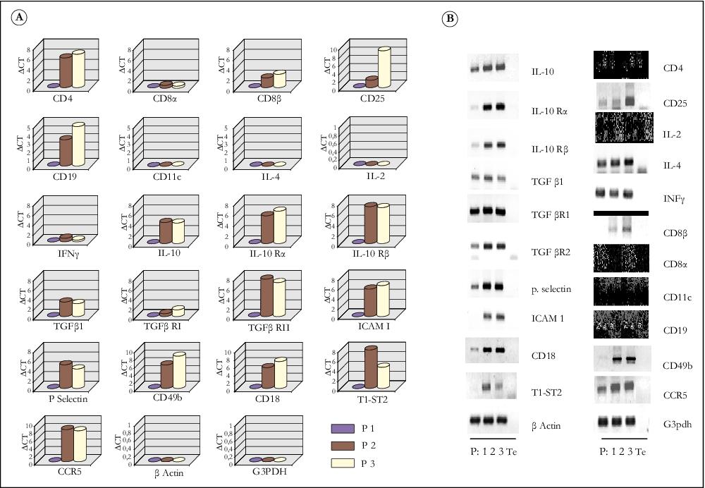 John Libbey Eurotext Bulletin Du Cancer Role Des Lymphocytes T Regulateurs Dans La Progression De La Fibrose Hepatique Associee A L Infection Par Le Vhc