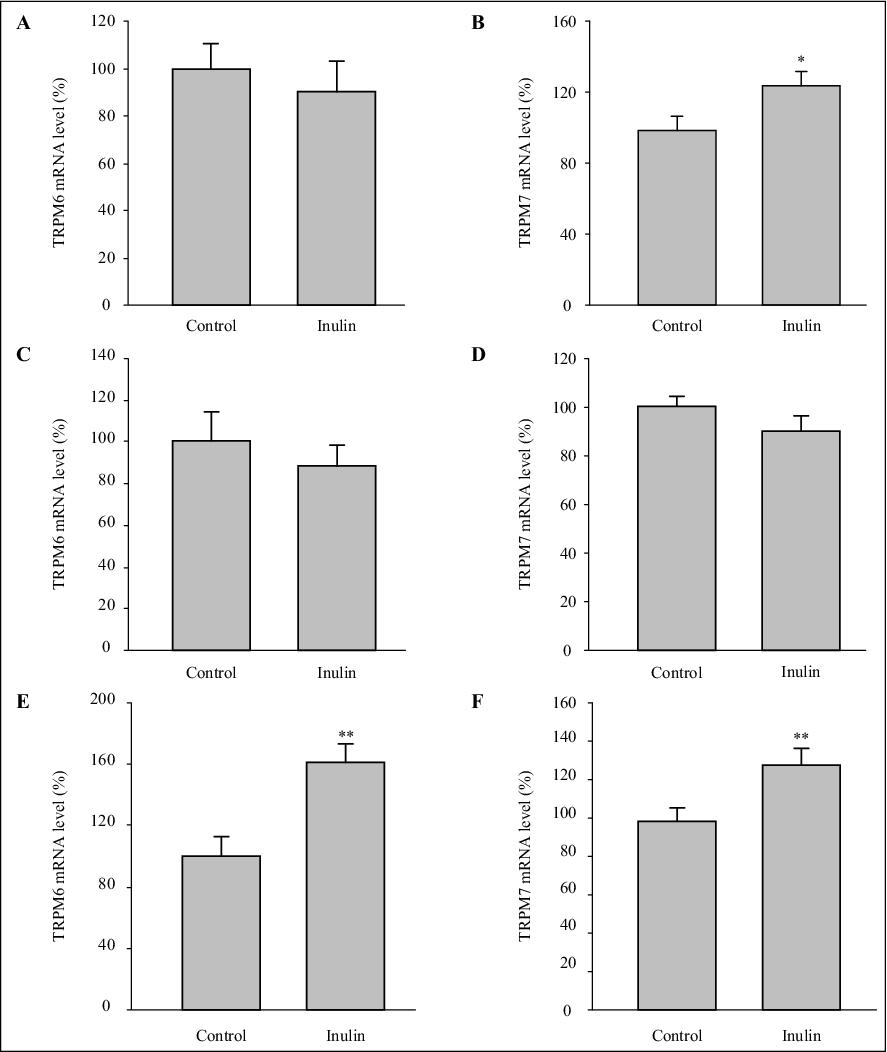 John Libbey Eurotext Magnesium Research Dietary Inulin In Mice Stimulates Mg 2 Absorption And Modulates Trpm6 And Trpm7 Expression In Large Intestine And Kidney