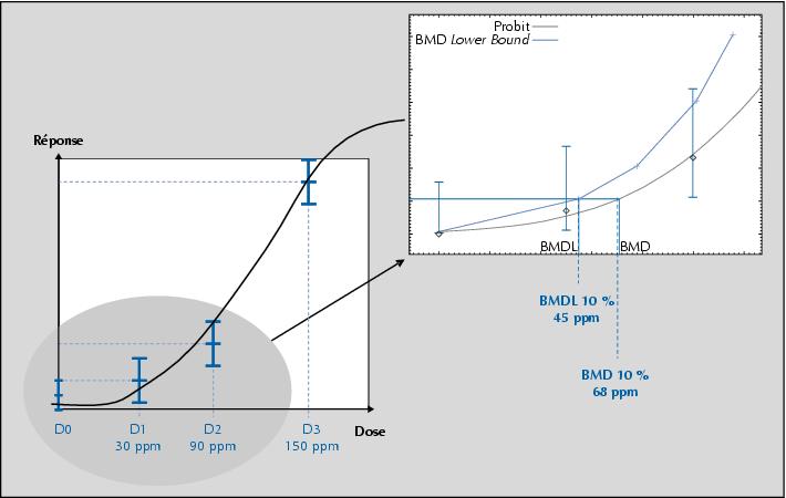 benchmark dose