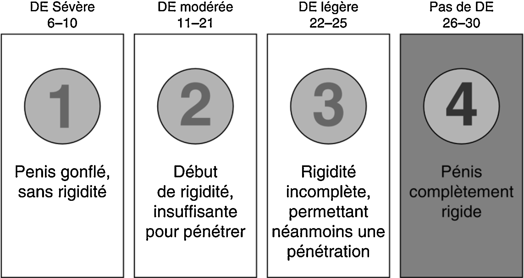 John Libbey Eurotext Sexologies D Marche Diagnostique Et Prise En