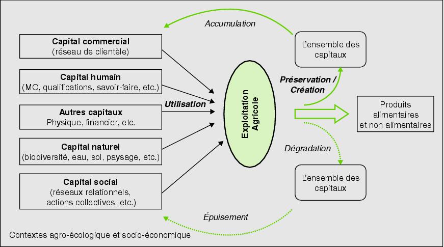 Resource Based Theory