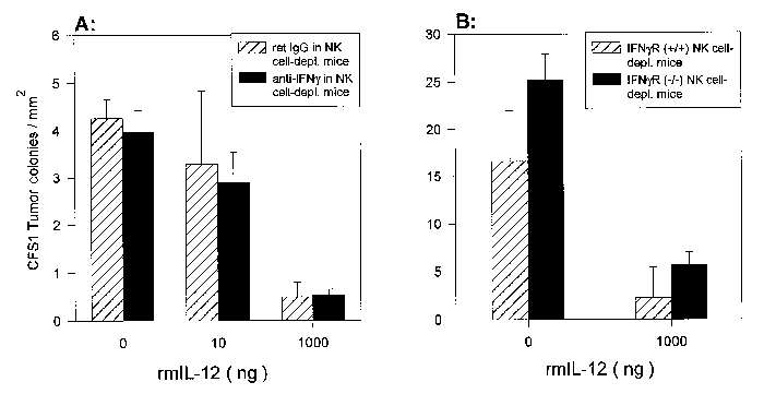 John Libbey Eurotext European Cytokine Network Interleukin 12 Activates Nk Cells For Ifn Gamma Dependent And Nkt Cells For Ifn Gamma Independent Antimetastatic Activity