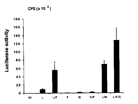 John Libbey Eurotext European Cytokine Network Analysis Of Tyr To Phe And Fa Fa Leptin Receptor Mutations In The Pc12 Cell Line