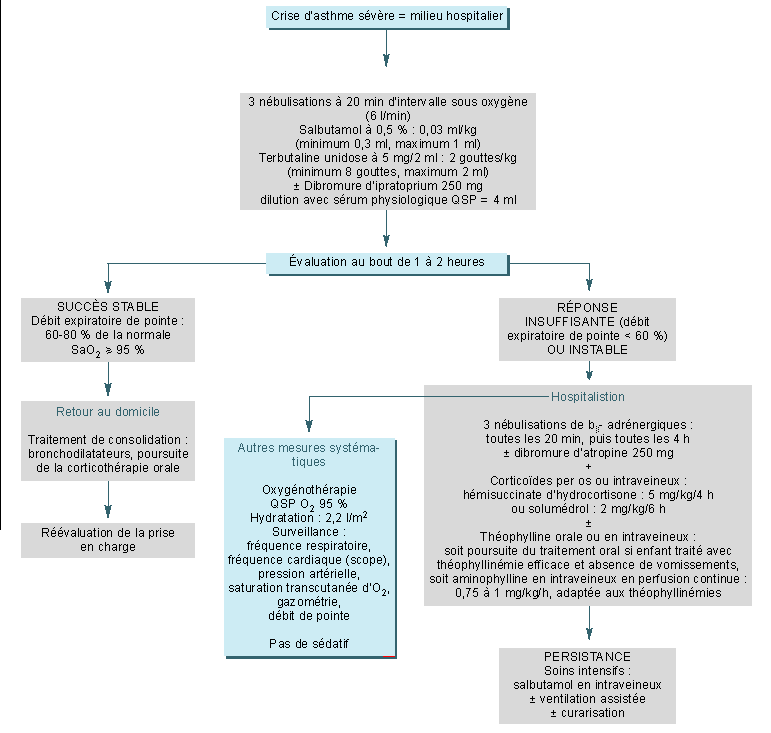 John Libbey Eurotext Medecine Therapeutique Pediatrie Traitement De L Asthme De L Enfant