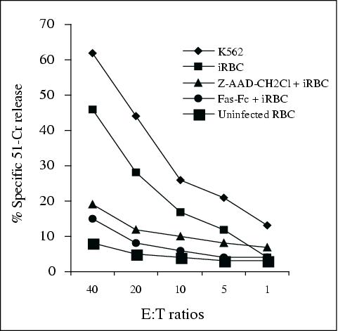 John Libbey Eurotext European Cytokine Network Natural Killer Nk Cell Mediated Cytolysis Of Plasmodium Falciparum Infected Human Red Blood Cells In Vitro