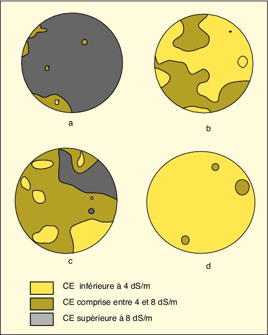 John Libbey Eurotext Science Et Changements Planetaires Secheresse The Secondary Salinisation Of Soils In The Sahara Its Impact On The Durability Of Agriculture In The New Development Perimeters