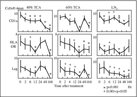 John Libbey Eurotext European Journal Of Dermatology Changes Of Epidermal Langerhans Cells In Skin Treated With Trichloroacetic Acid