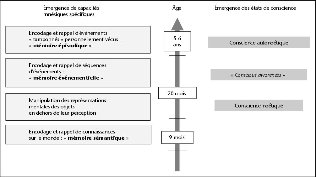 John Libbey Eurotext Epilepsies Human Memory Systems Neuropsychological Concepts And Models In Adulthood And Childhood