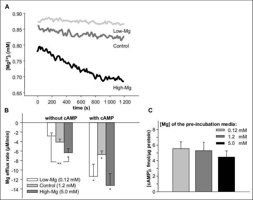 John Libbey Eurotext Magnesium Research Rumen Epithelial Cells Adapt Magnesium Transport To High And Low Extracellular Magnesium Conditions