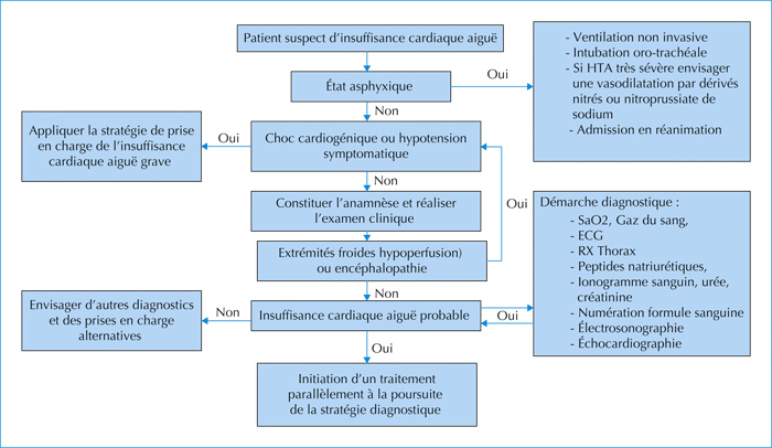 John Libbey Eurotext Medecine Therapeutique Prise En Charge De L Insuffisance Cardiaque Au Service D Urgence