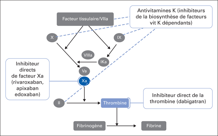 John Libbey Eurotext Geriatrie Et Psychologie Neuropsychiatrie Du Vieillissement Novel Oral Anticoagulants And Atrial Fibrillation In The Elderly