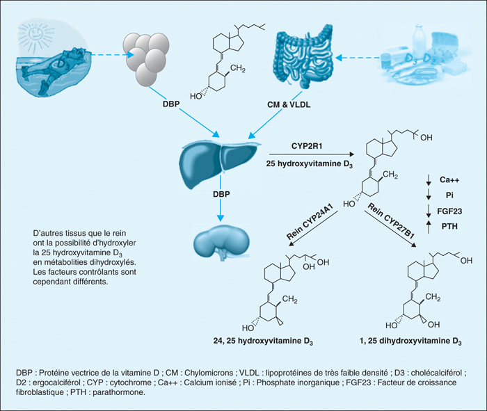 John Libbey Eurotext - Annales De Biologie Clinique - Le Dosage De La ...