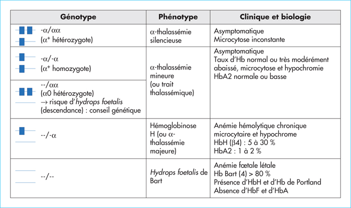 Jle Hématologie Hémoglobinopathies Et Autres Anémies Hémolytiques