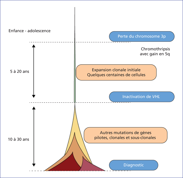 John Libbey Eurotext - Innovations & Thérapeutiques En Oncologie ...