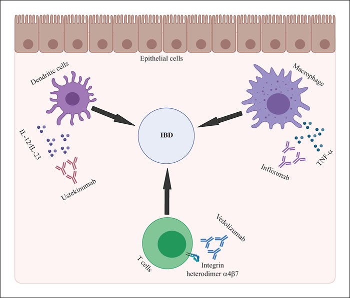 JLE - European Cytokine Network - Anti-cytokine Therapy And Small ...