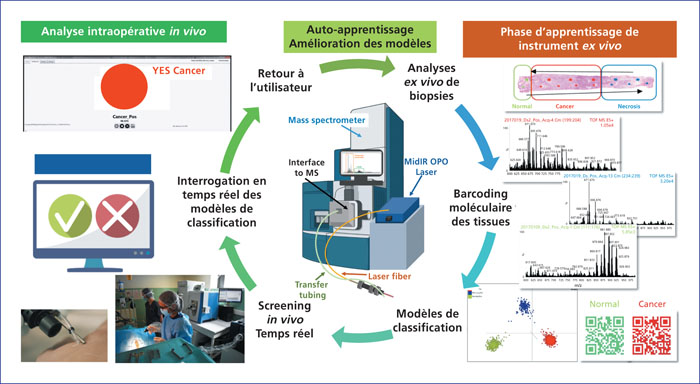 JLE - Innovations & Thérapeutiques En Oncologie - Diagnostic ...