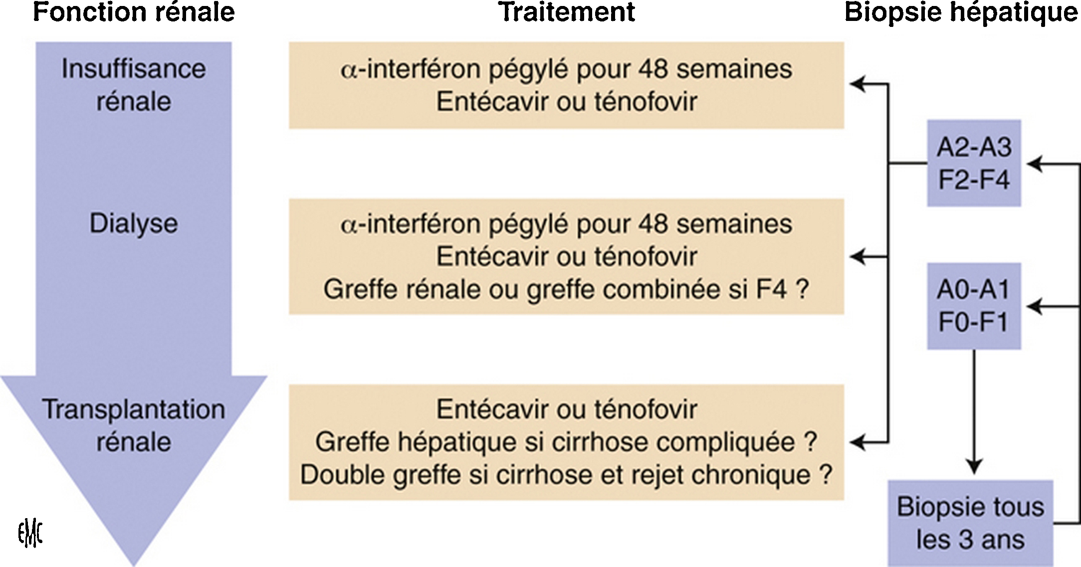 John Libbey Eurotext - Néphrologie & Thérapeutique - Management Of ...