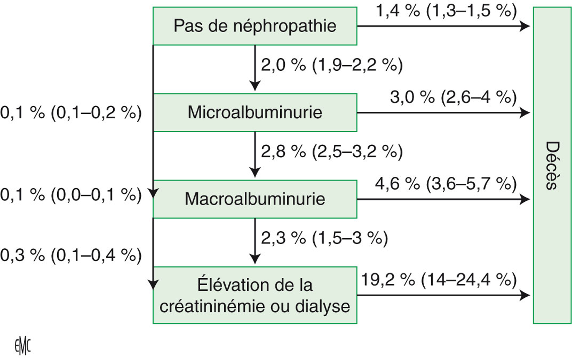 JLE - Néphrologie & Thérapeutique - Spécificités Des Néphropathies Du ...